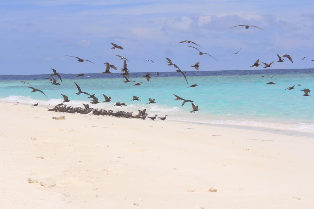 Hanifaru Stay Kendhoo Luaran gambar